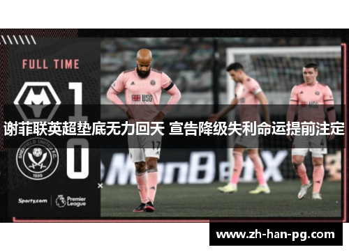 谢菲联英超垫底无力回天 宣告降级失利命运提前注定