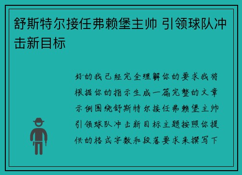 舒斯特尔接任弗赖堡主帅 引领球队冲击新目标